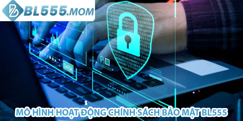 mô hình hoạt động chính sách bảo mật bl555